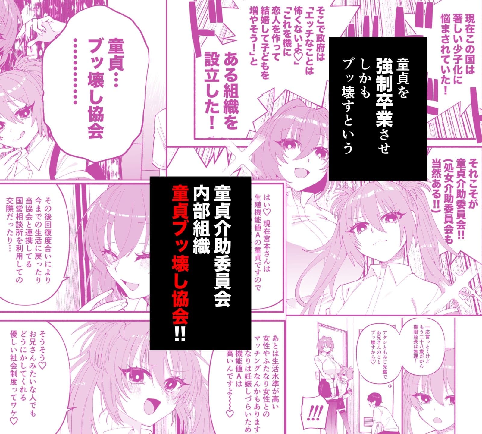 わたくしたち、「童貞介助委員会」内部組織「童貞ブッ壊し協会」の者ですが… サンプル 3