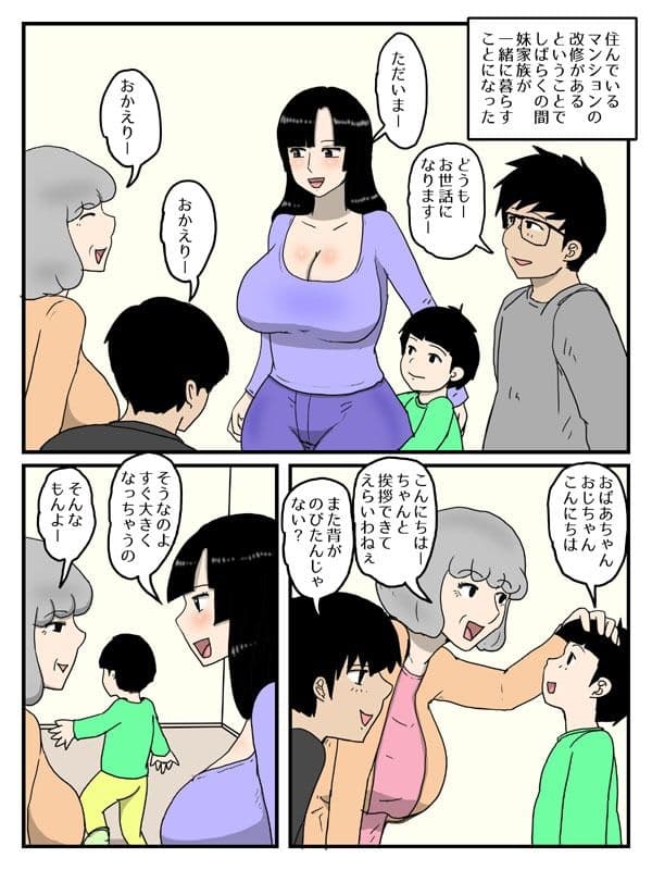 人妻で経産婦の妹が俺のオナホになった件1 サンプル 1