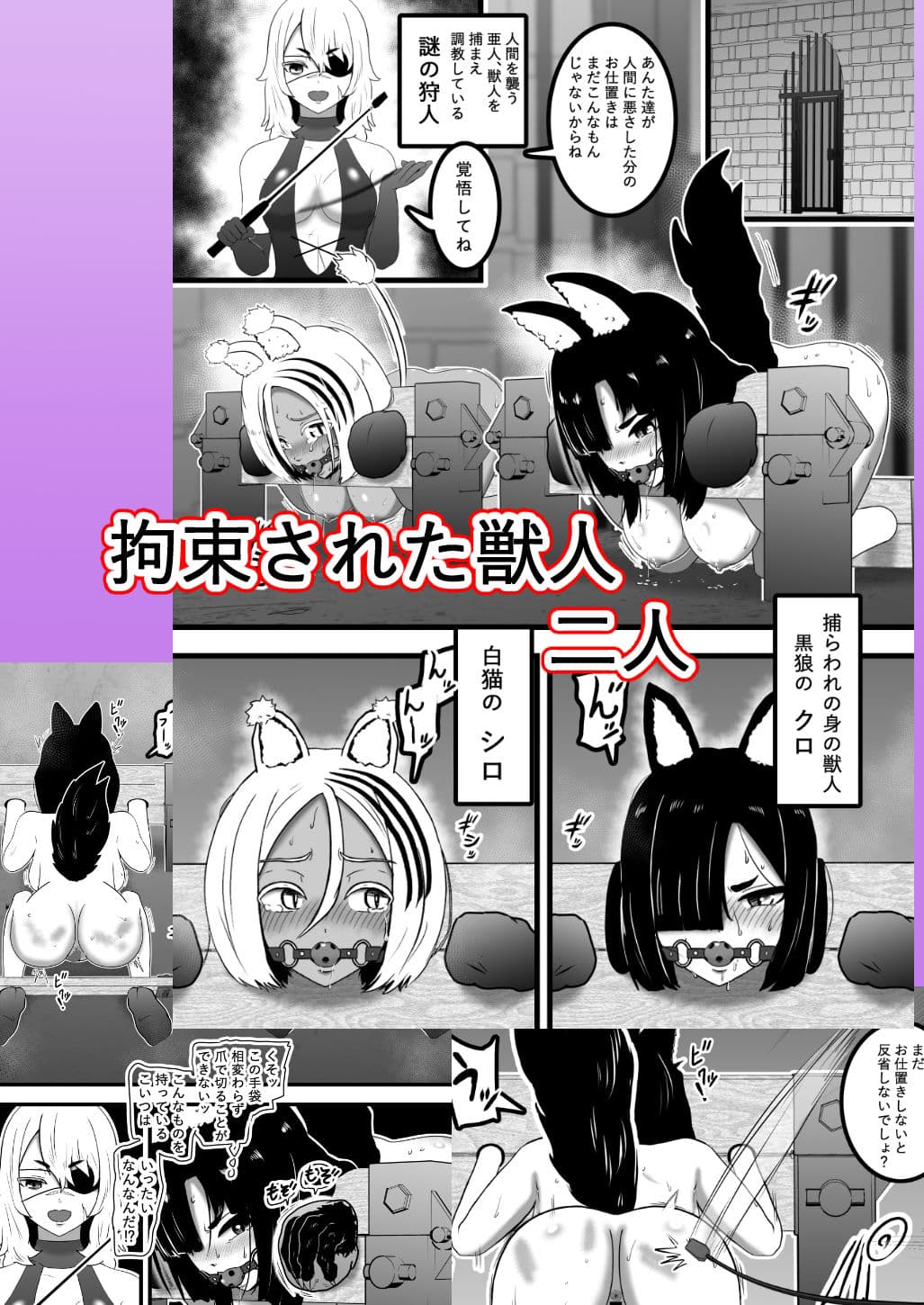 ヴァンパレイド8・5 〜白猫 黒狼 調教編〜 サンプル 5