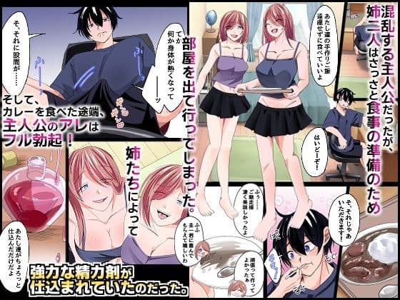 ブラコンのお姉ちゃんたちと。双子の姉たちが大事に取っておいた処女を貰って欲しいと誘惑してくる最高の夏休み! サンプル 2