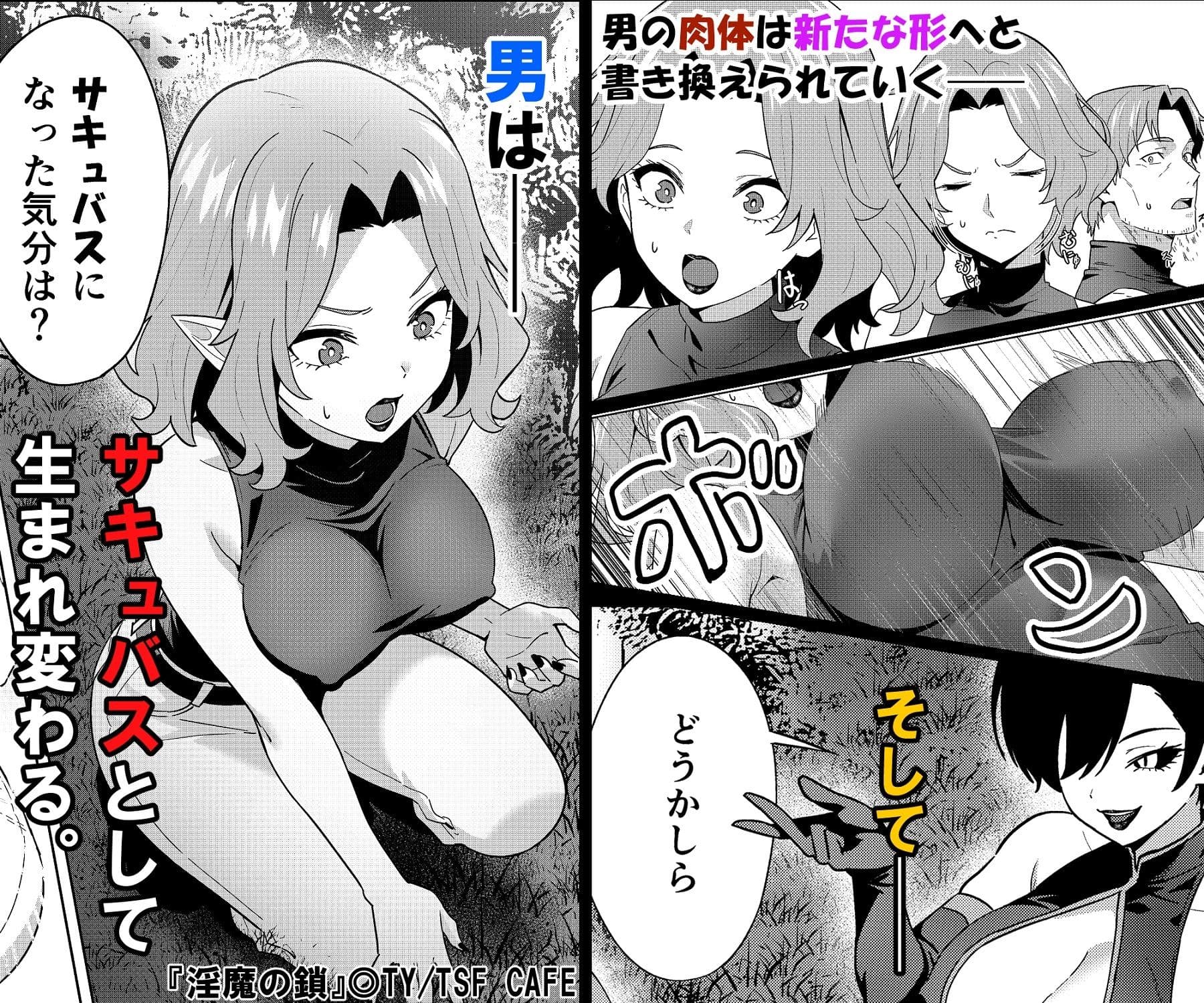 淫魔の鎖 サンプル 5