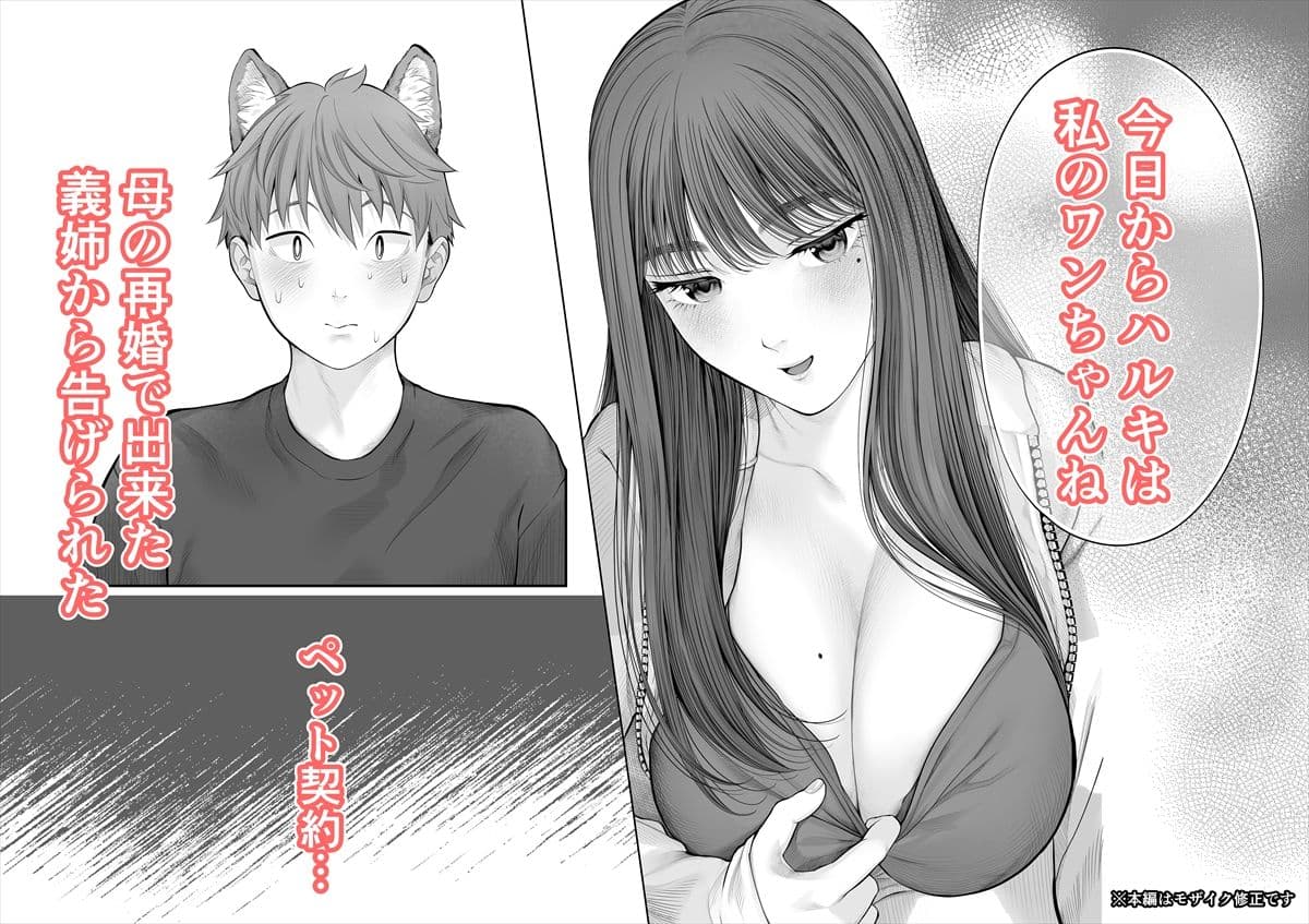 姉犬-義姉は家族でえっちなご主人様- サンプル 1