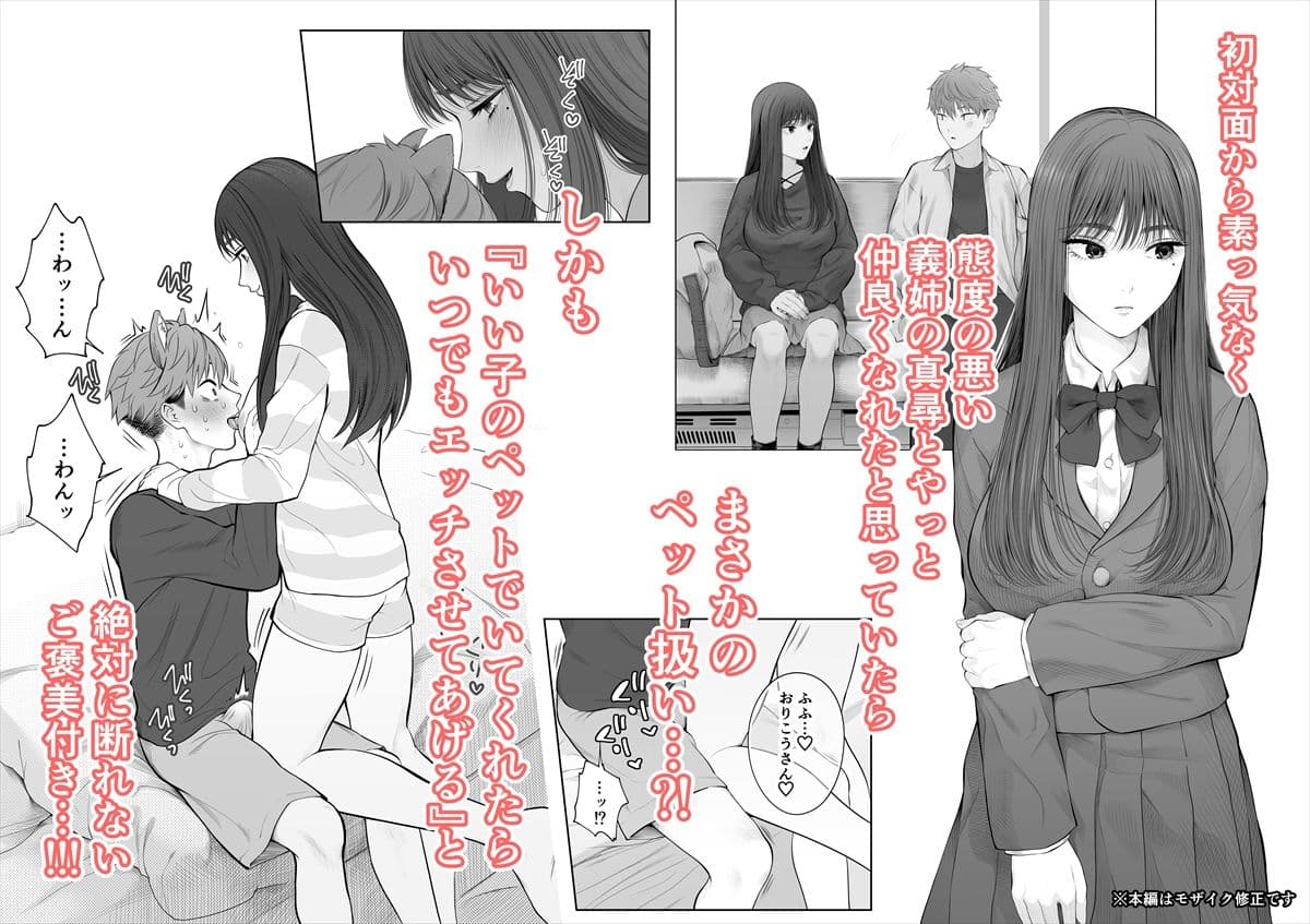 姉犬-義姉は家族でえっちなご主人様- サンプル 2