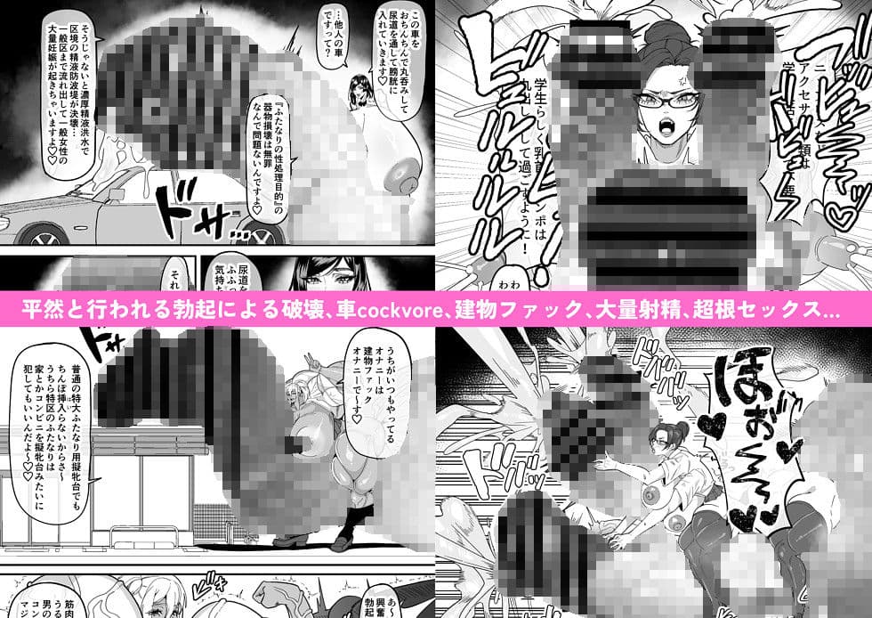 ふたなり特区調査報告書 サンプル 2