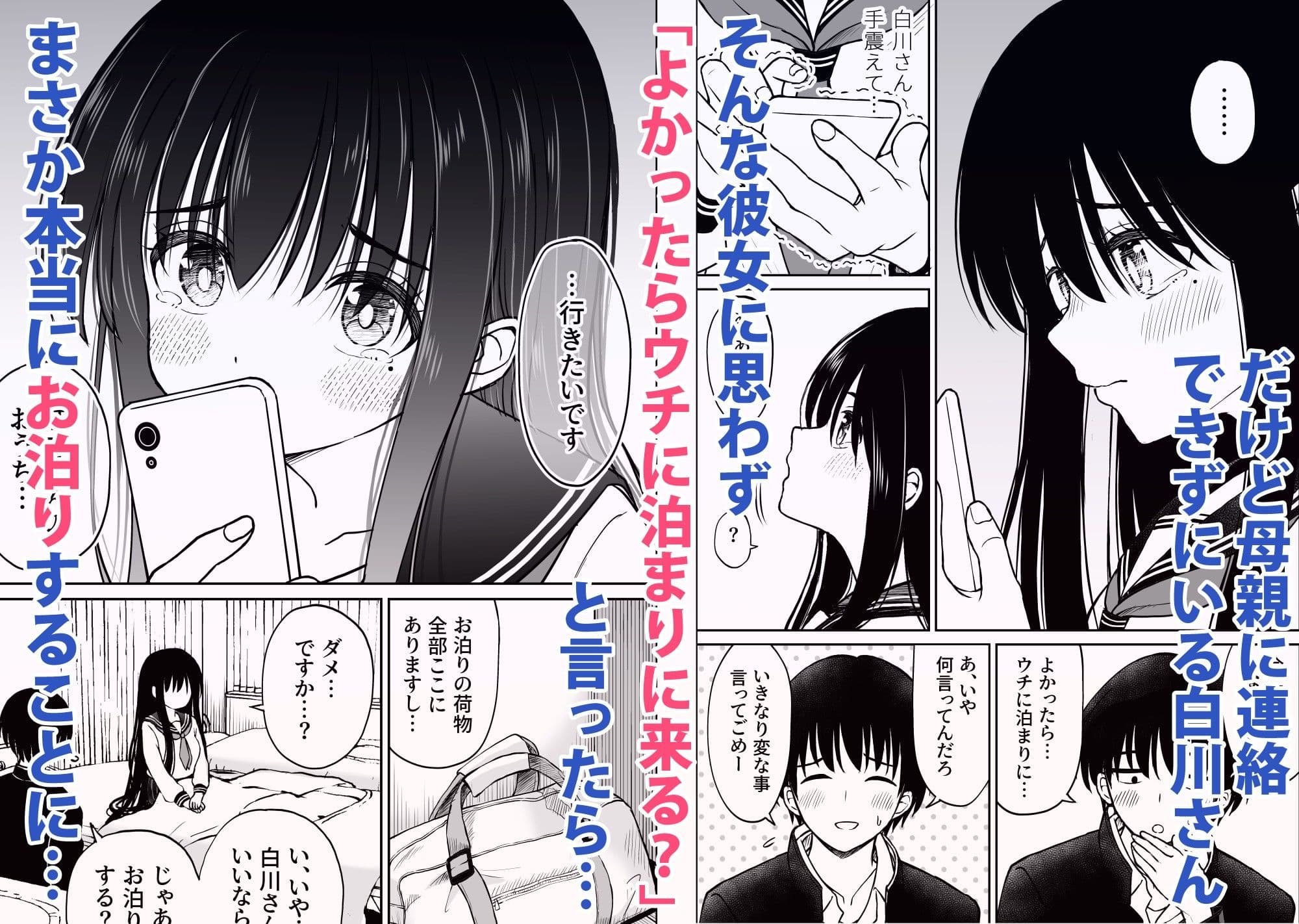 裏修学旅行日記〜青春できない僕らの、秘密の2泊3日〜 サンプル 2