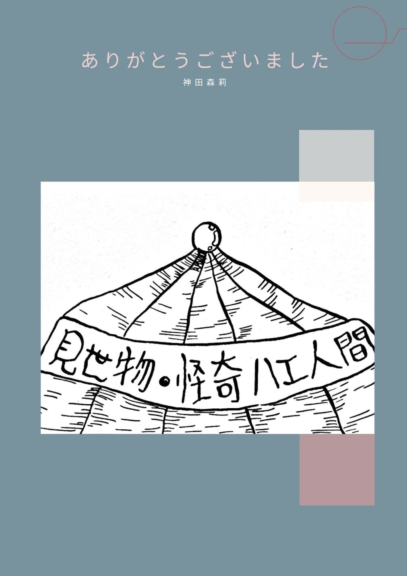 未発表作品『ゴロゴロ』1982年  -  神田森莉 サンプル 4