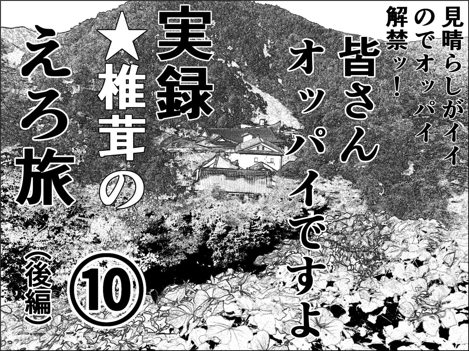 実録  ★椎茸のえろ旅  10  完全版 サンプル 3