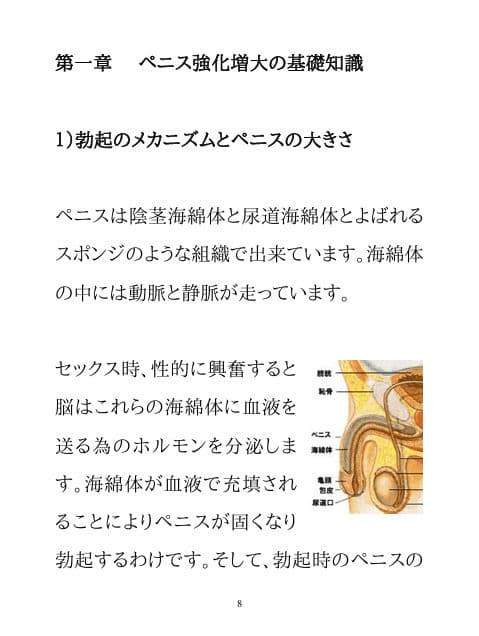 男のパワーアップ・トレーニング サンプル 4