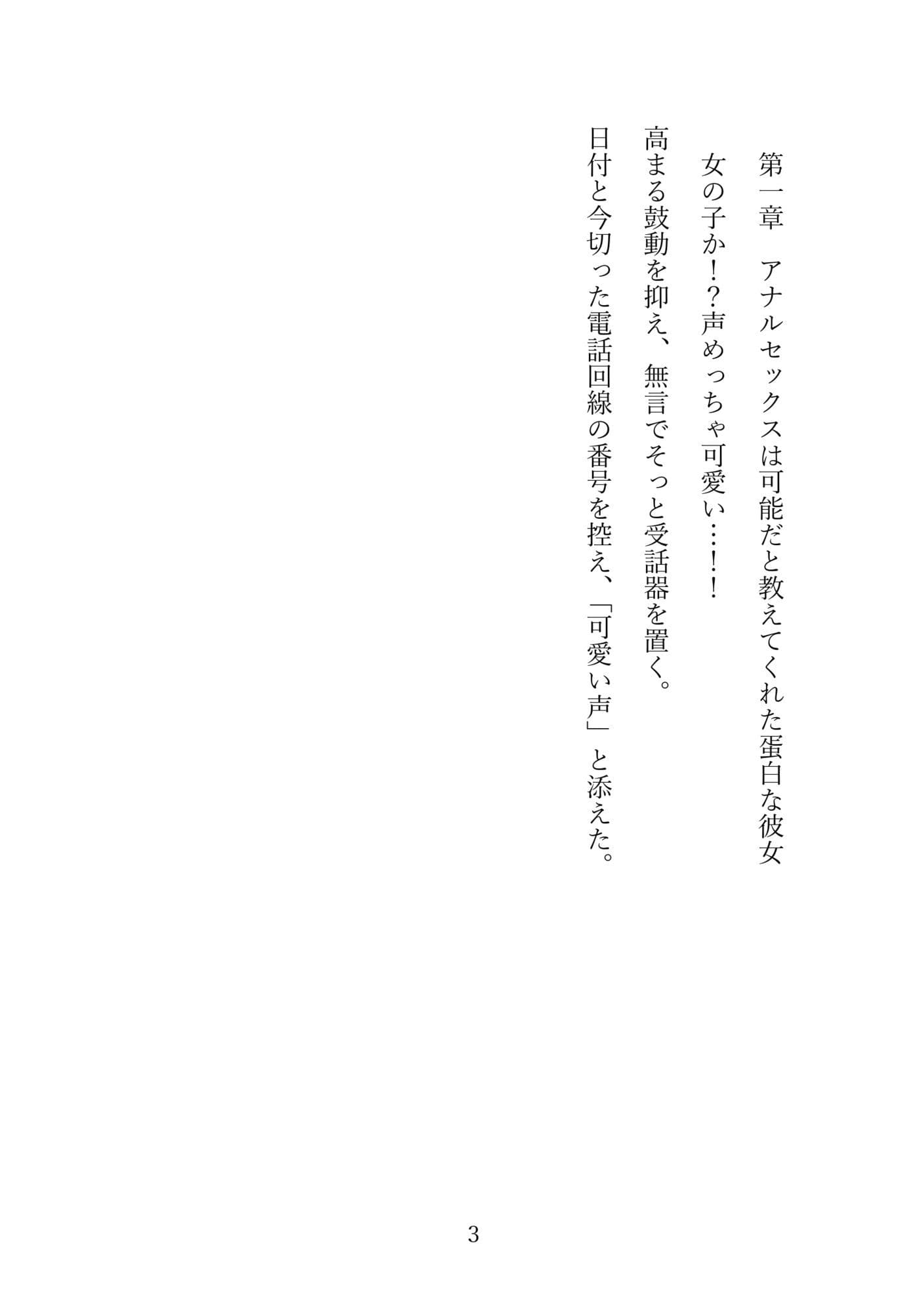 実録アナル秘話  第一巻〜包容なアナル、捨て台詞までアナル、アナルの中のアナル、思い出の茶シャツ〜 サンプル 4