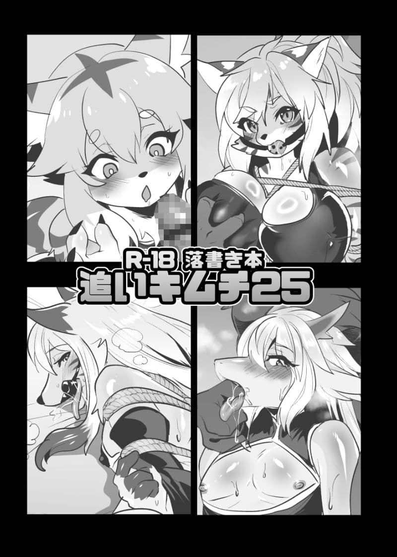 C107 新刊2冊＋無配本セット サンプル 6