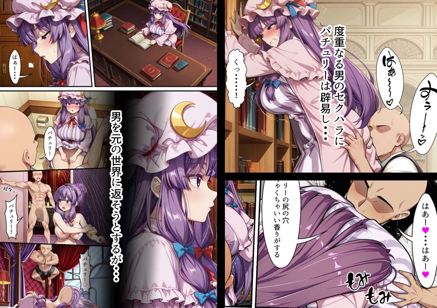 奇跡の精力を持った男が幻想入り パチュリー編 サンプル 2