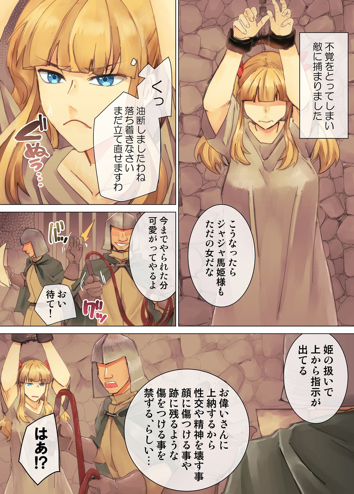 囚われ姫騎士  強●胸辱 サンプル 1