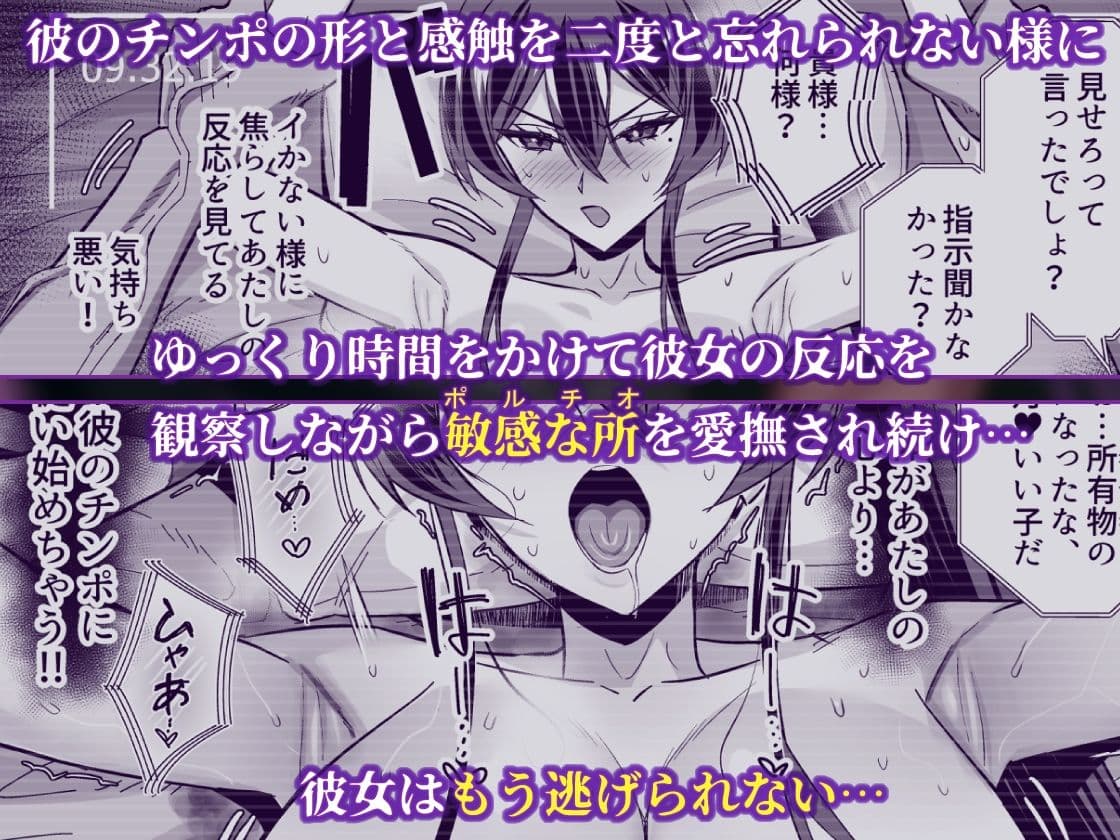 屈服2.5〜風紀委員長は持ち帰られて弄ばれて…〜 サンプル 8
