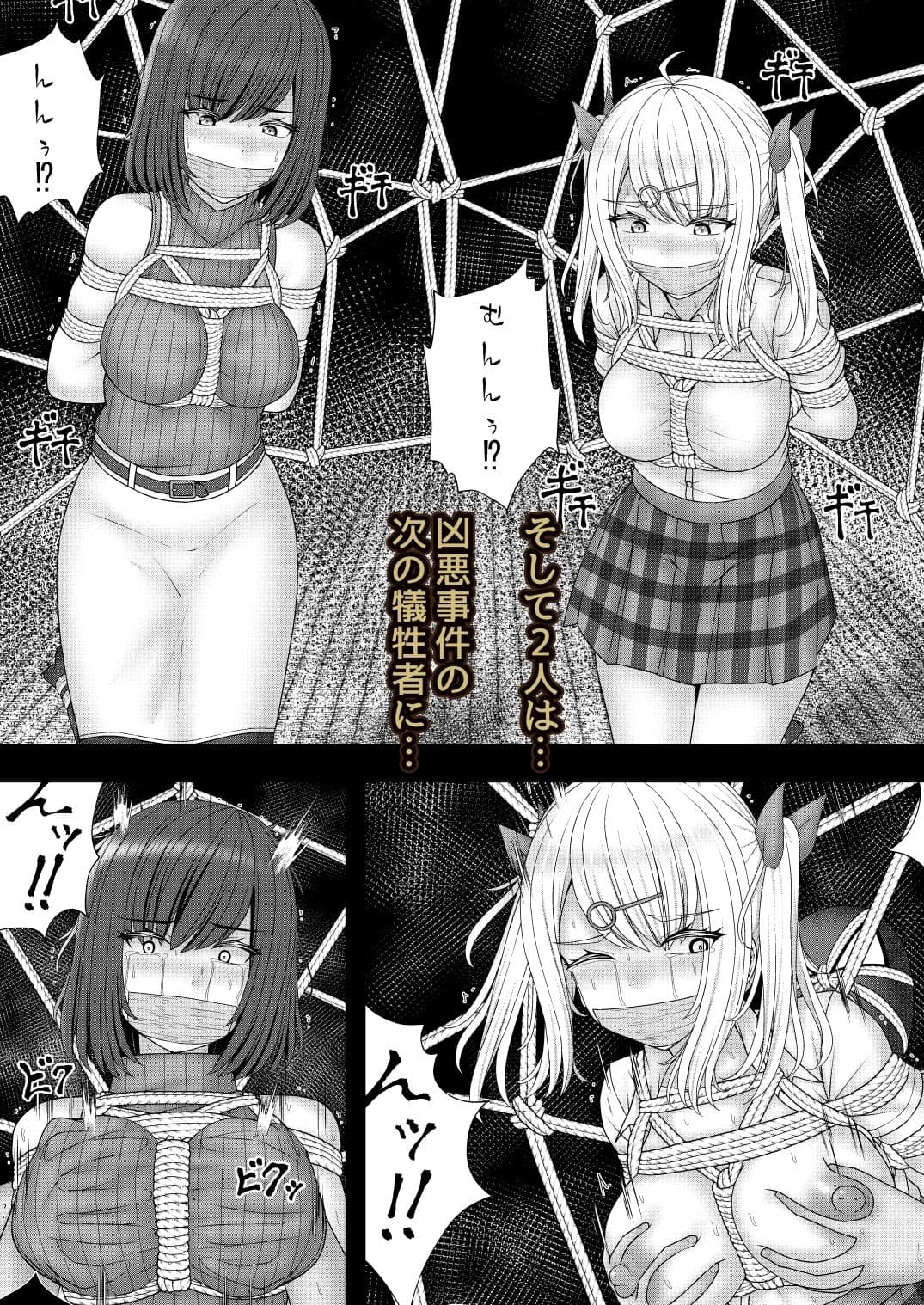 縄蜘蛛の餌 蜘蛛の巣の罠 サンプル 4