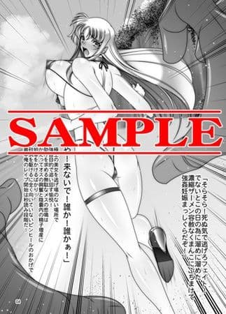 IN THE BITCH！ fate サンプル 1