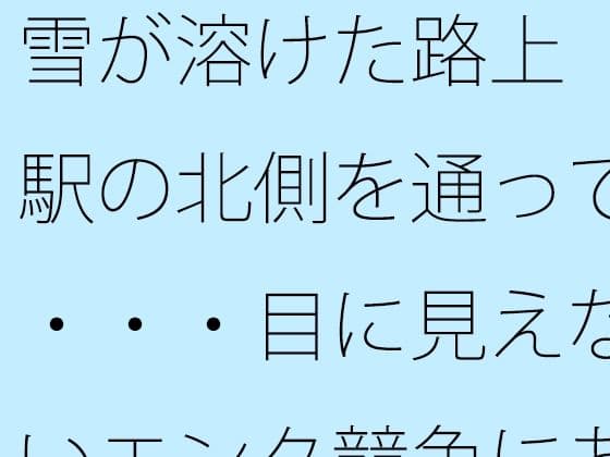雪が溶けた路上  駅の北側を通って・・・・目に見えないエンタ競争にあっぷあっぷしながら