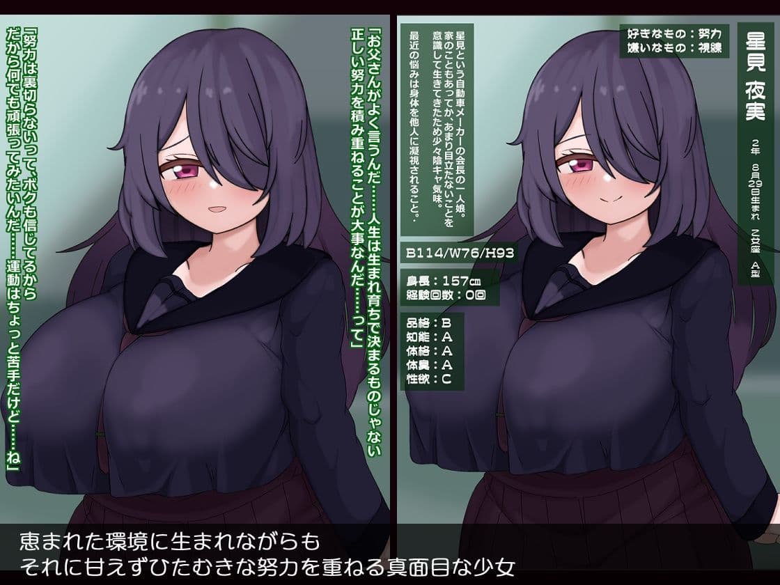 人生終了真面目に生きてきたのに…誘拐・調教・精神崩壊 サンプル 1