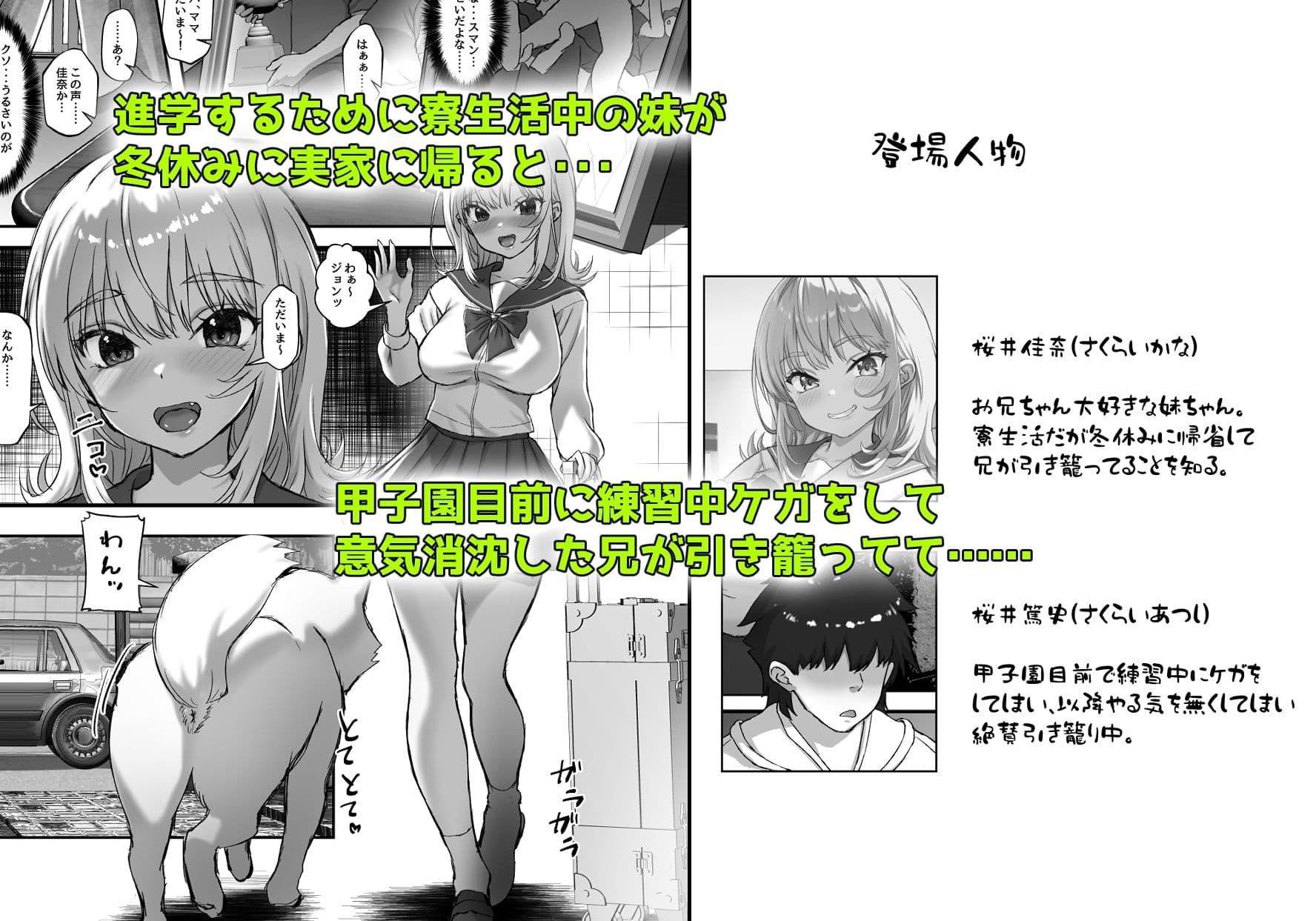 巨乳ちゃんなお兄ちゃん好き好き妹J系がヘタレ兄貴をおま〇こ使って更生させちゃう話。 サンプル 1