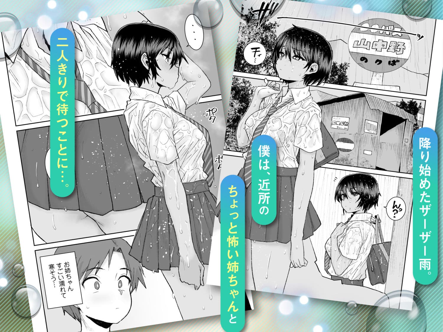 無口で気の強いボーイッシュなお姉ちゃんで僕は童貞を卒業しました サンプル 1