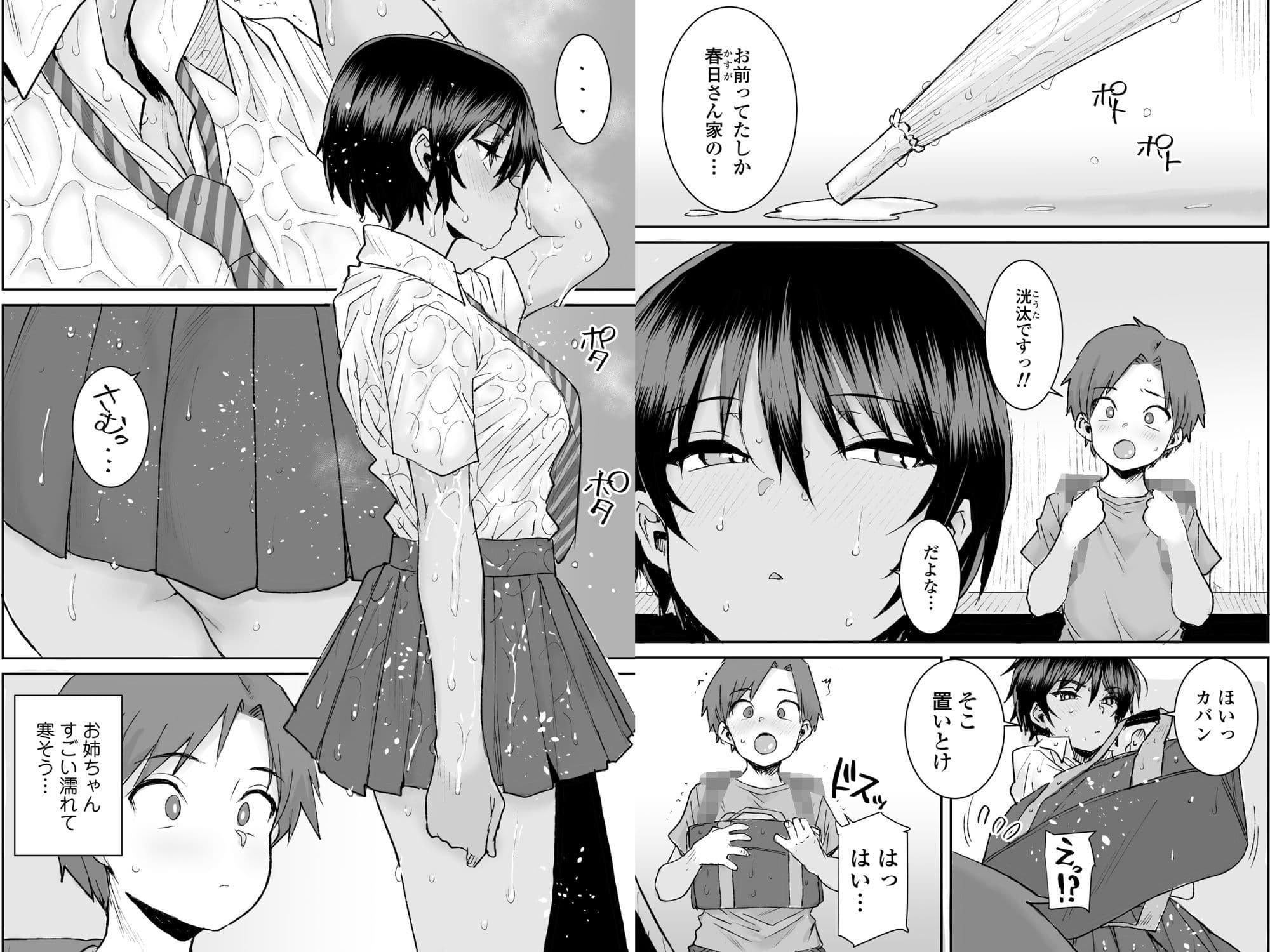 無口で気の強いボーイッシュなお姉ちゃんで僕は童貞を卒業しました サンプル 5