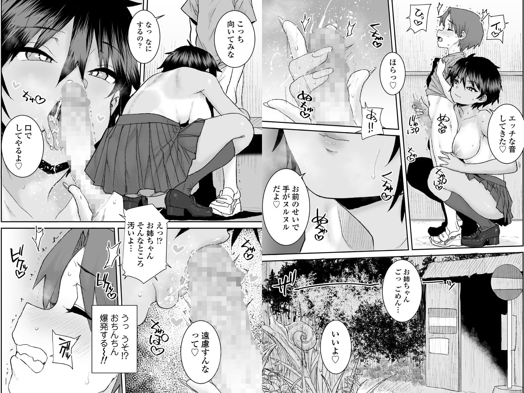 無口で気の強いボーイッシュなお姉ちゃんで僕は童貞を卒業しました サンプル 9