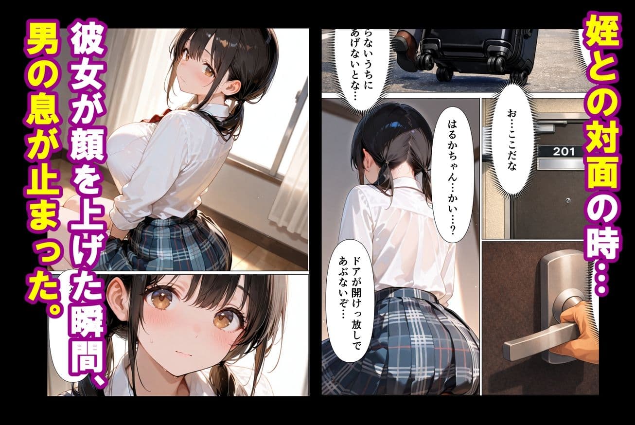 実姉を奪い損ねた男が、姉にそっくりな姪に、執着の精子をどろどろと注ぎ込む話 サンプル 4