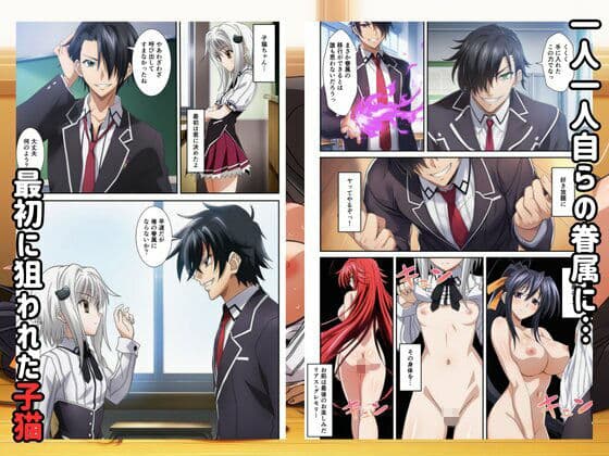 ハーレムハイスクールD×D！もしリアスの眷属が俺のものになったら サンプル 2
