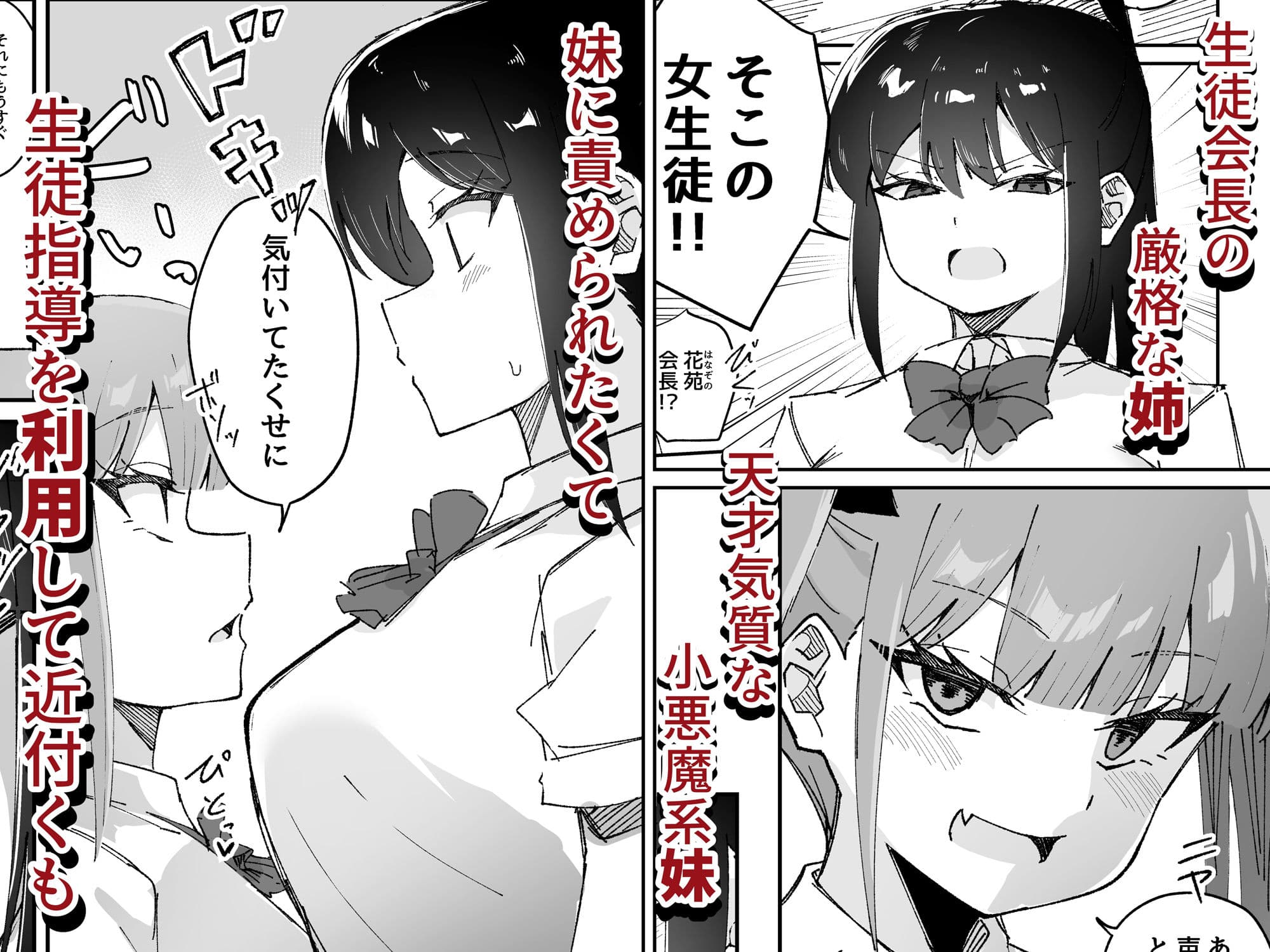 激弱乳首な堅物お姉ちゃんは小悪魔妹に逆らえない！ サンプル 1