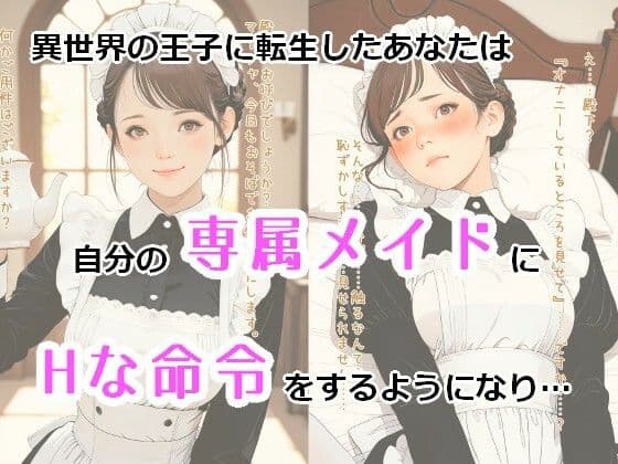 異世界王子と専属メイドの秘密奉仕 サンプル 1