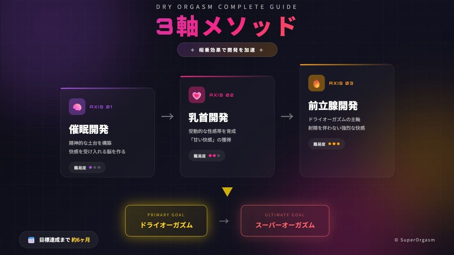 ドライオーガズム6ヶ月完全開発ガイド 催●・乳首・前立腺の3軸メソッド サンプル 3