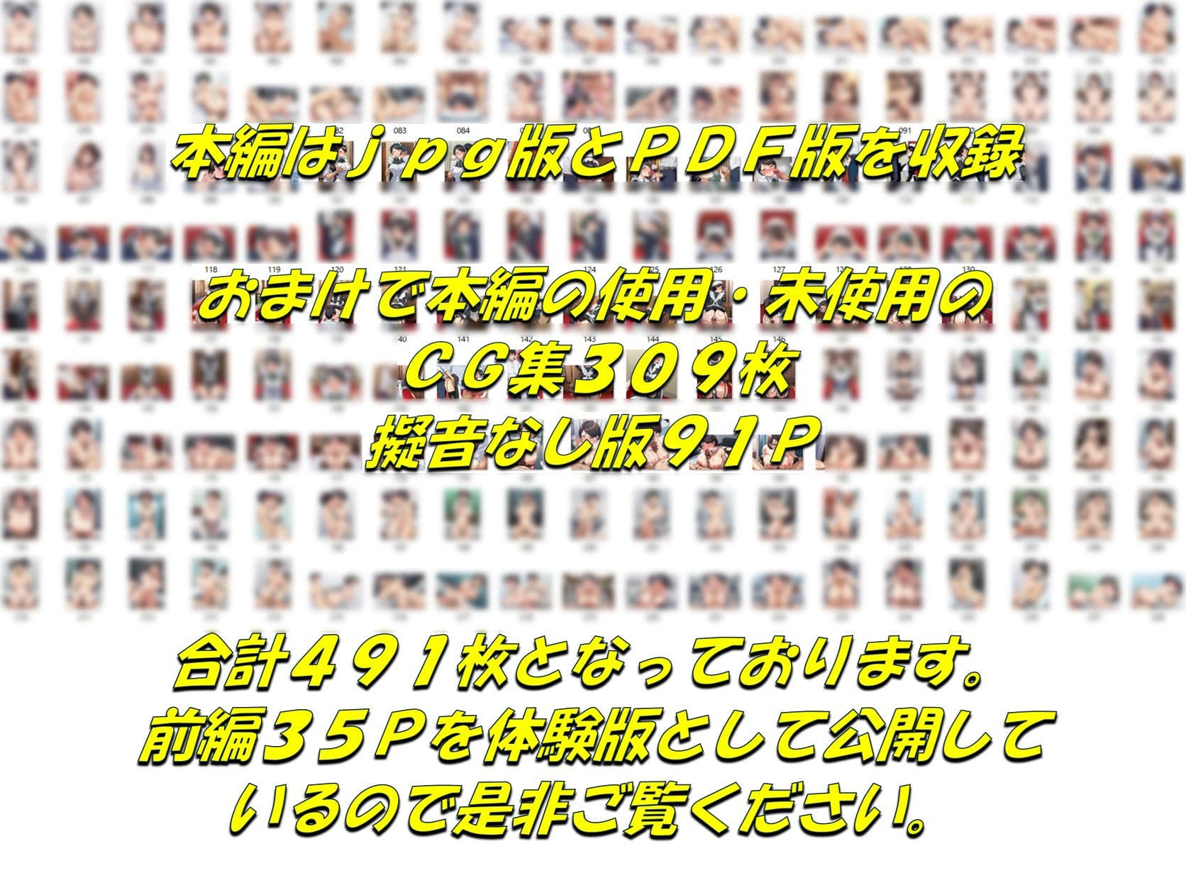 メイドで童貞卒業するよう言われたので昔から好きだった行き遅れ処女メイド長を寵愛して孕ませる話 サンプル 10