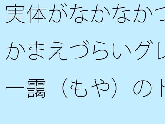 実体がなかなかつかまえづらいグレー靄（もや）のトンネルの中を  細微が問題になる
