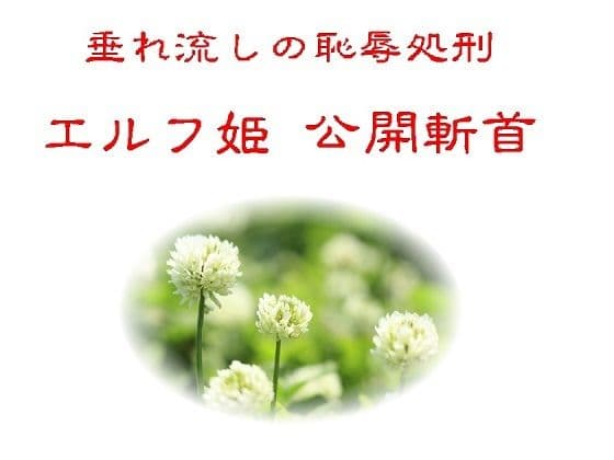 垂れ流しの恥辱処刑エルフ姫公開斬首