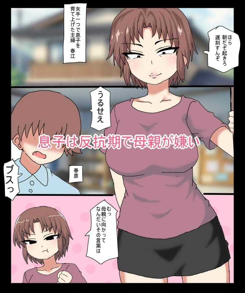 反抗期の息子が 働いてる熟女壁穴ヘルスにきちゃったので バレないように息子チンポを抜 サンプル 1