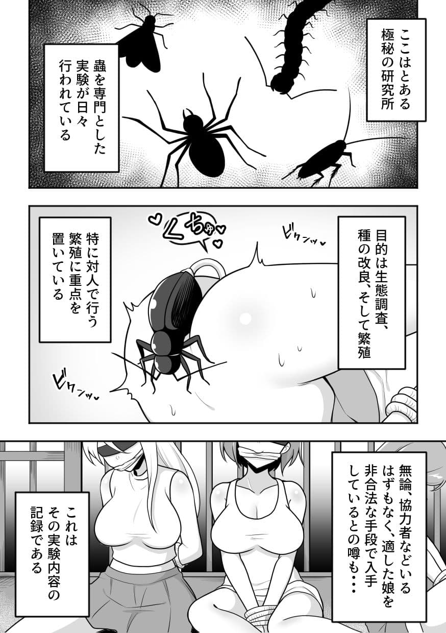 昆蟲研究所5 サンプル 1