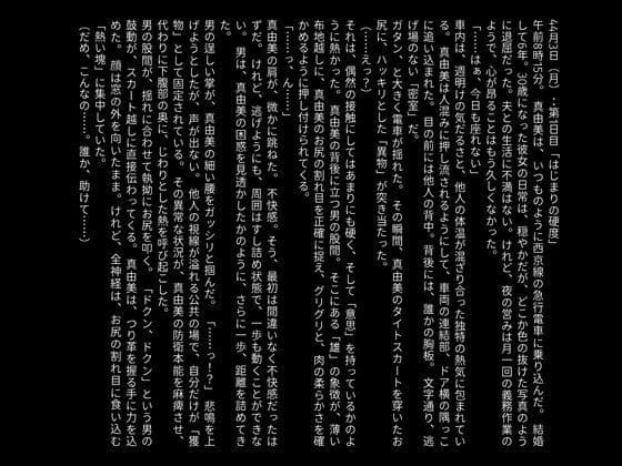 【官能小説】快楽の通姦快速 サンプル 2
