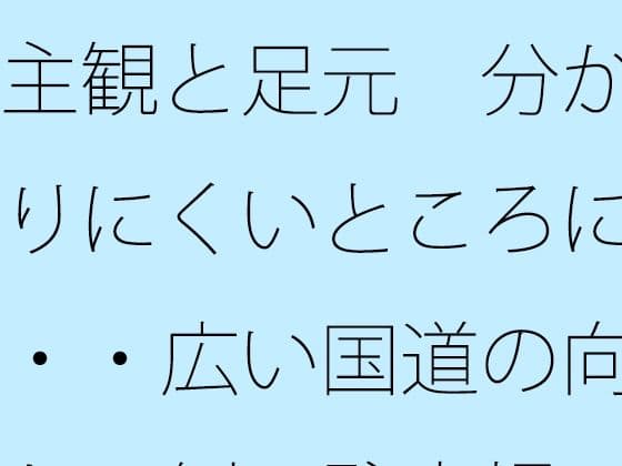 主観と足元  分かりにくいところに・・広い国道の向かい側の駐車場