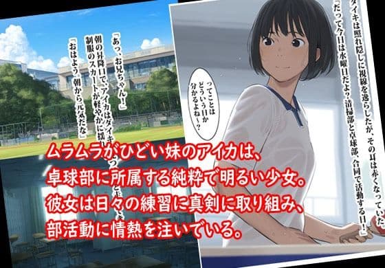 運動部の妹はオレのを欲しがる。 サンプル 1