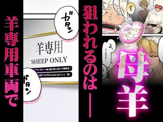 母羊 サンプル 1