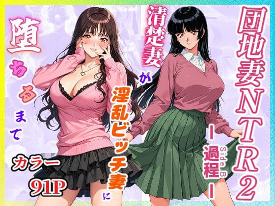 団地妻NTR2 -過程（Side B）-〜清楚妻が淫乱ビッチ妻に堕ちるまで〜