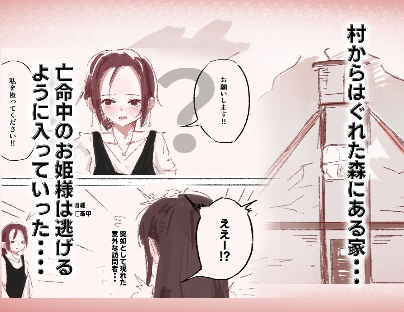 亡命お姫様はふたなりお姉さんのオナホ サンプル 1