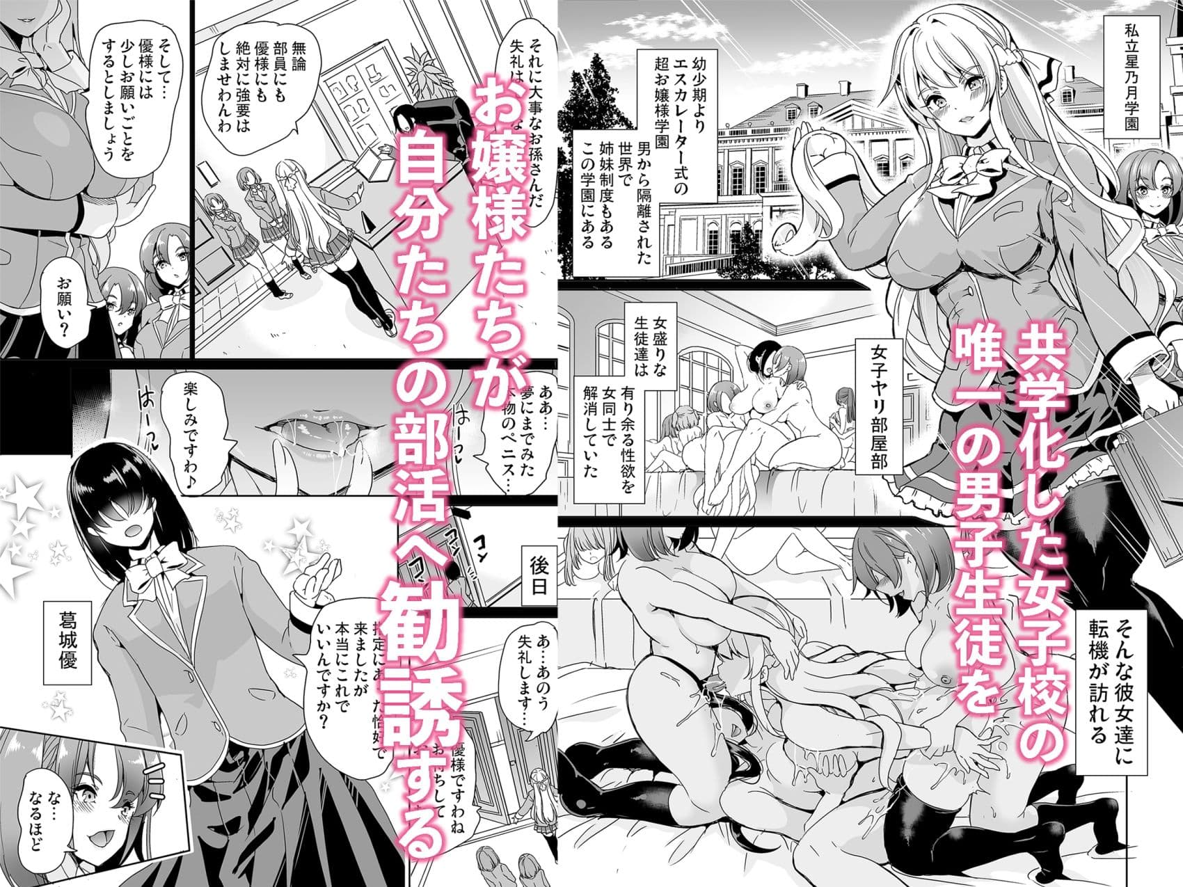 女子ヤリ部屋部の男根    〜痴女ハーレム〜  総集編 サンプル 1
