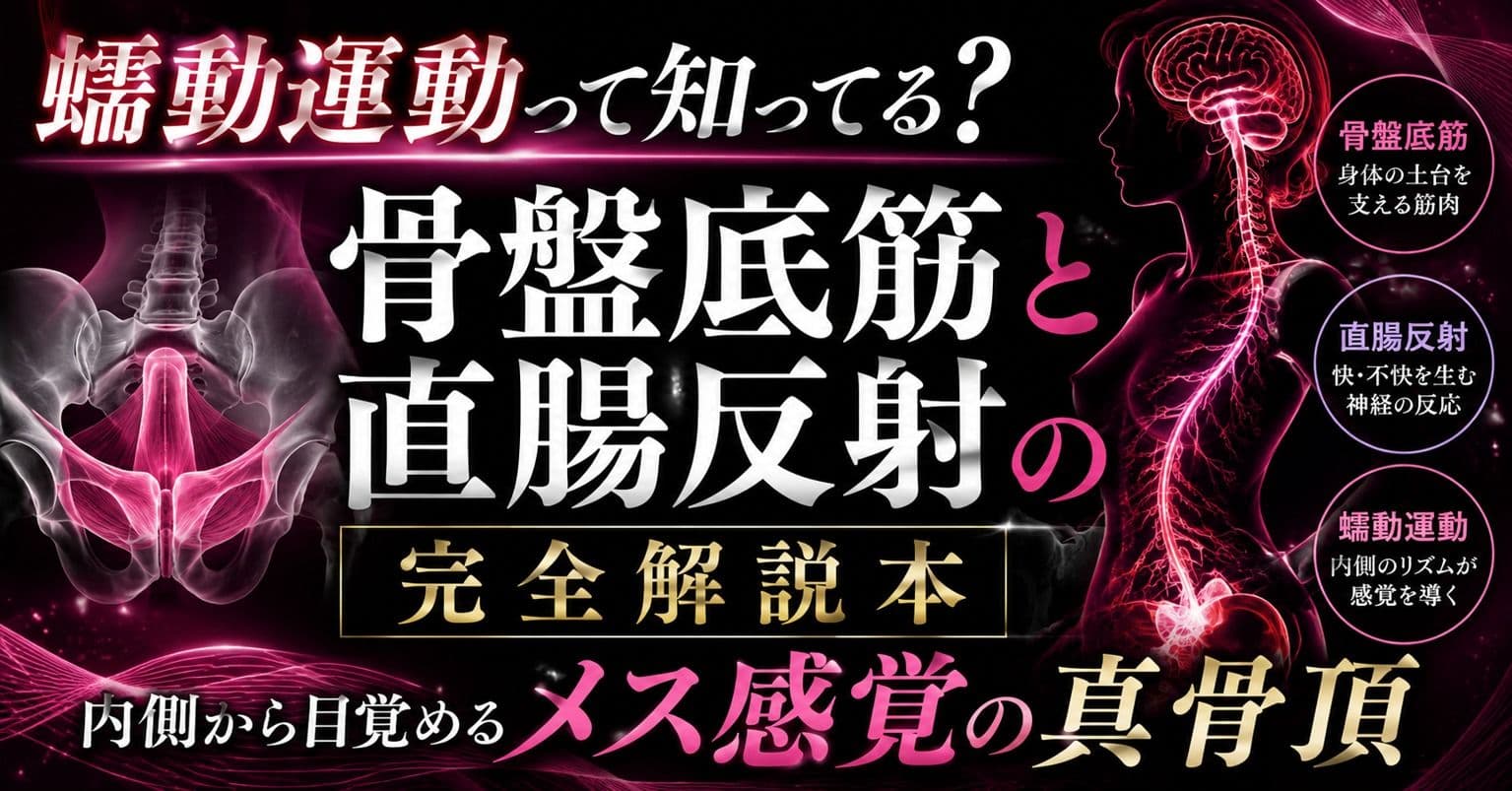 （はーと）メスイキが起きる瞬間（はーと）に発動する  エネマ・アネロスがアナルの中で 勝手に動き出す蠕動運動の起こし方 （はーと）徹底解説（はーと） サンプル 1