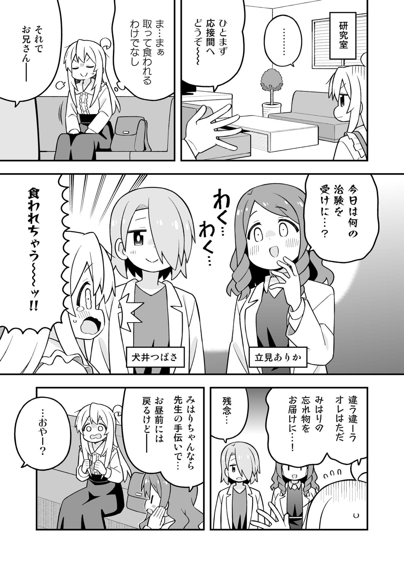 お兄ちゃんはおしまい!37 サンプル 3