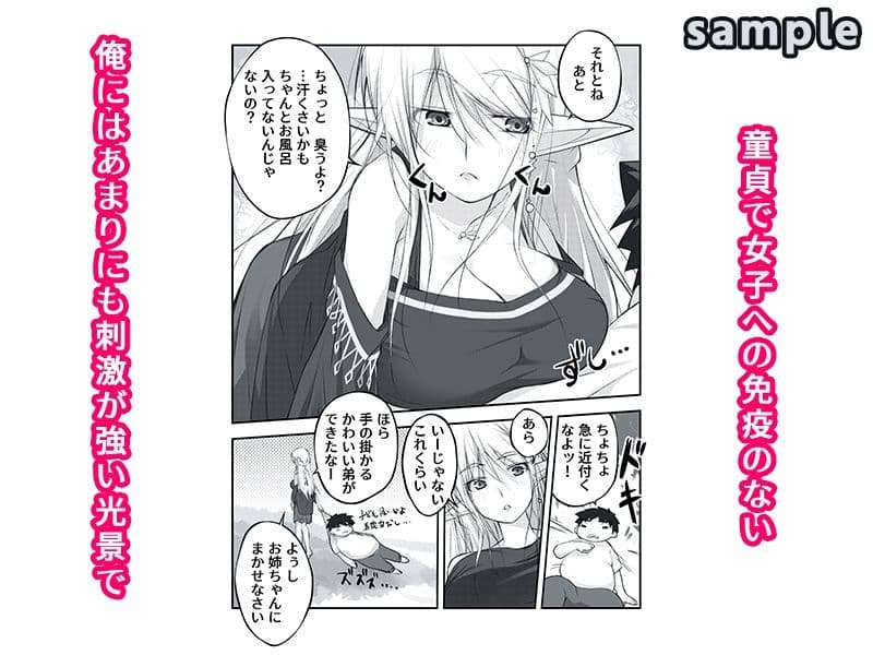 剥いてくれるエルフ姉が欲しかった サンプル 2