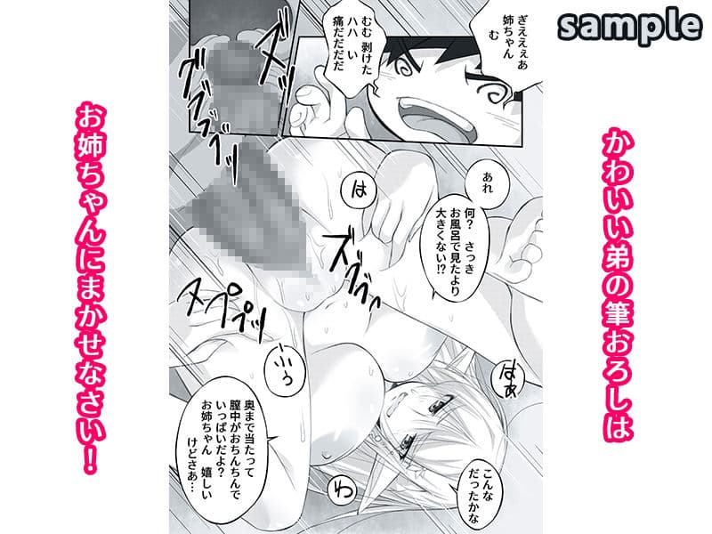 剥いてくれるエルフ姉が欲しかった サンプル 4