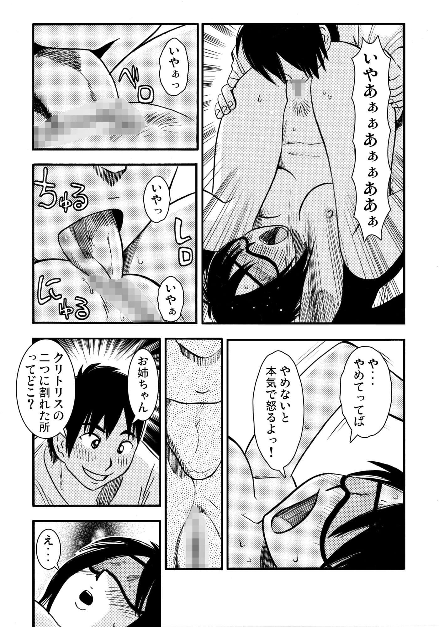 お姉ちゃんの日記帳（後編） サンプル 3