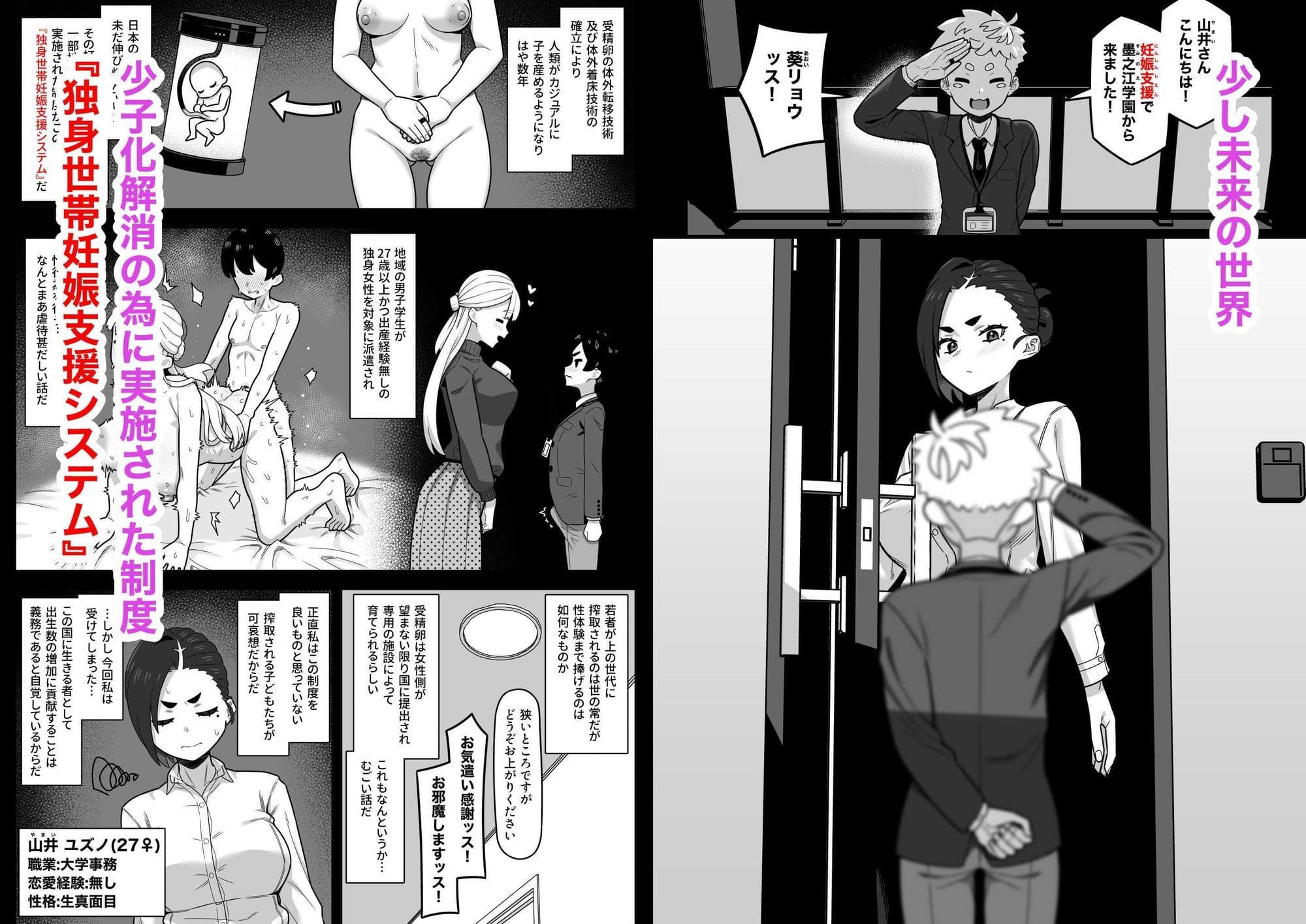 独身世帯妊娠支援システム サンプル 1