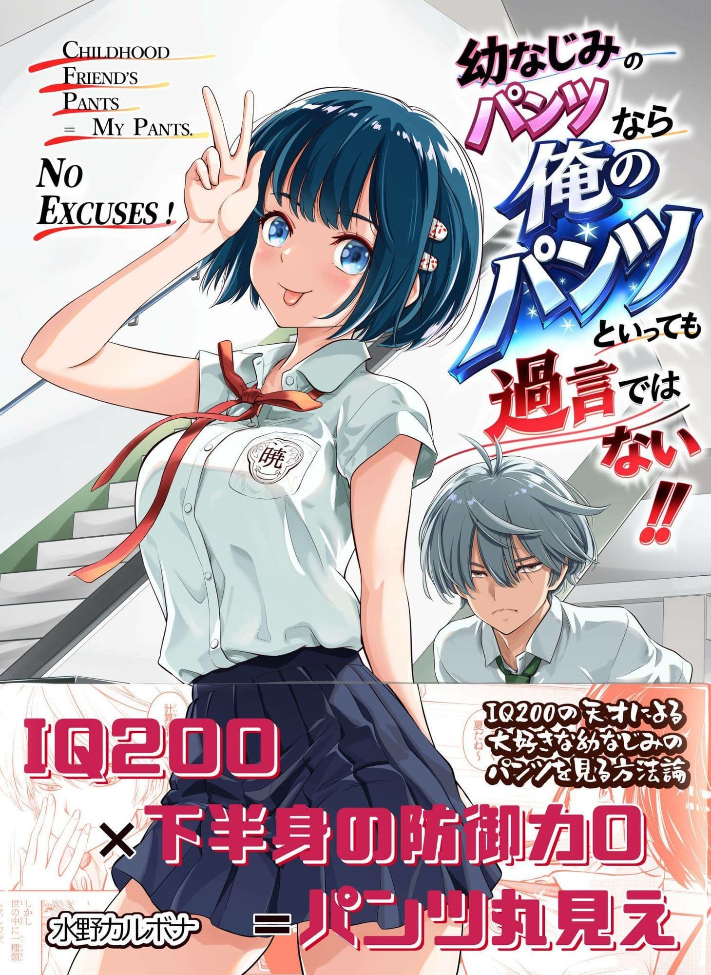 幼なじみのパンツなら俺のパンツといっても過言ではない！！ サンプル 1
