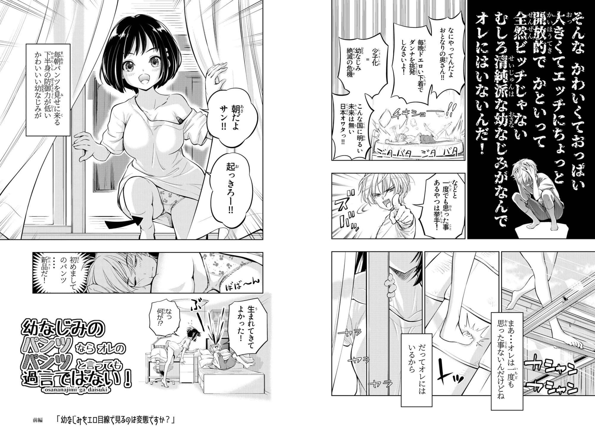 幼なじみのパンツなら俺のパンツといっても過言ではない！！ サンプル 3